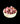 PEACH BLOSSOM FLOWER POT